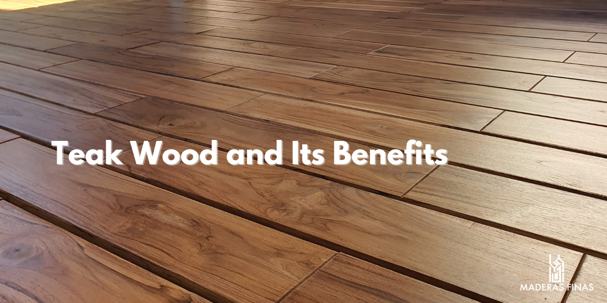 Teak Wood and Its Benefits