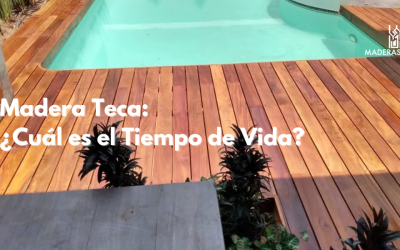 Madera Teca: ¿Cuál es el Tiempo de Vida?