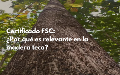 Certificado FSC: ¿Por qué es relevante en la madera teca?