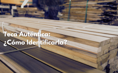 Teca Auténtica: ¿Cómo Identificarla?